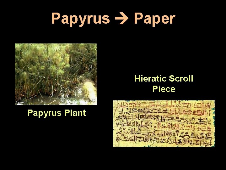 Papyrus Paper Hieratic Scroll Piece Papyrus Plant 