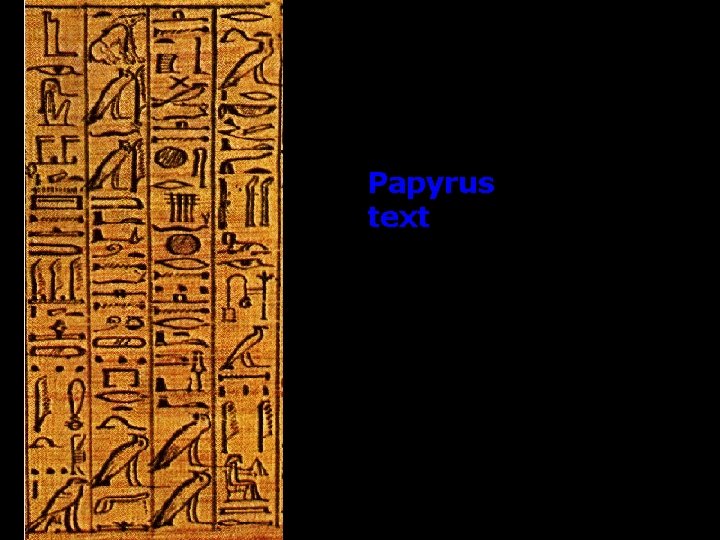 Papyrus text 