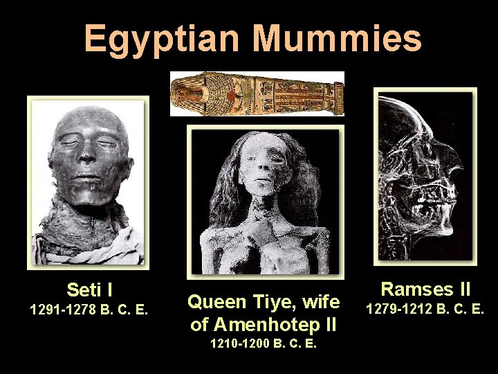 Egyptian Mummies Seti I 1291 -1278 B. C. E. Queen Tiye, wife of Amenhotep