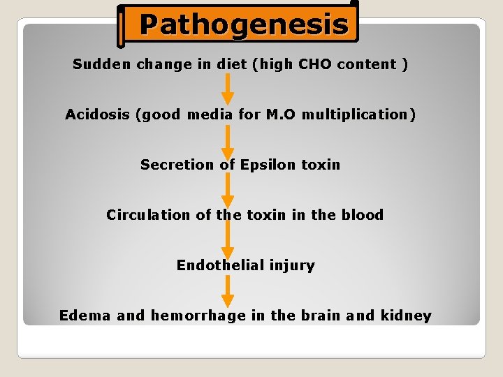 Pathogenesis Sudden change in diet (high CHO content ) Acidosis (good media for M.