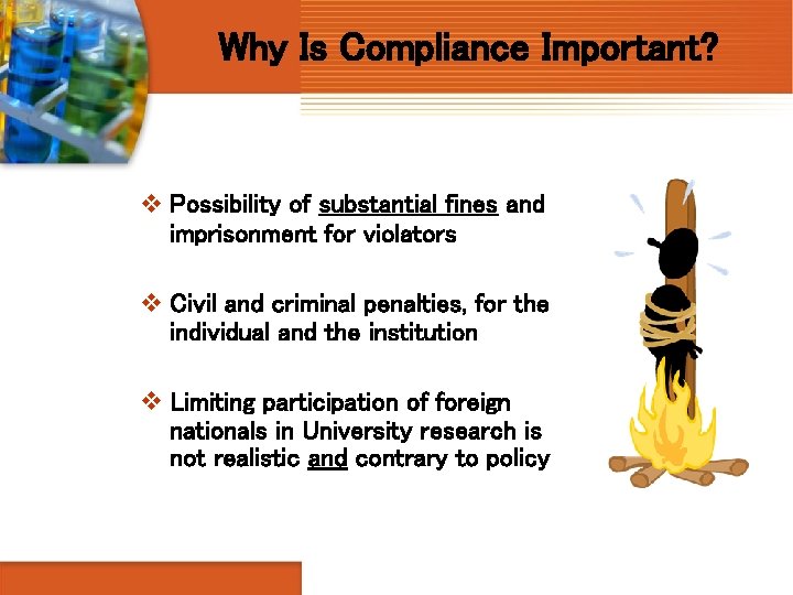 Why Is Compliance Important? v Possibility of substantial fines and imprisonment for violators v