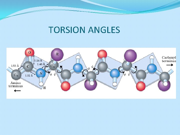 TORSION ANGLES 