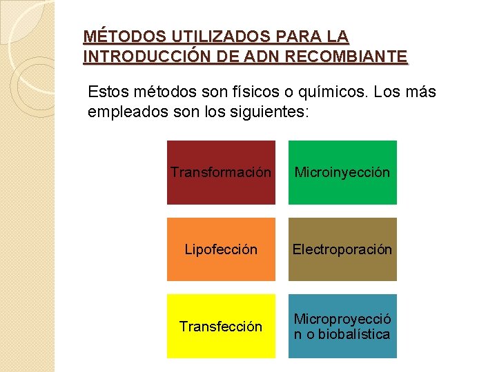 MÉTODOS UTILIZADOS PARA LA INTRODUCCIÓN DE ADN RECOMBIANTE Estos métodos son físicos o químicos.