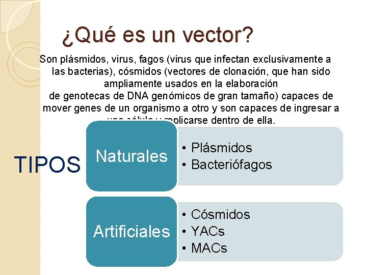 ¿Qué es un vector? Son plásmidos, virus, fagos (virus que infectan exclusivamente a las