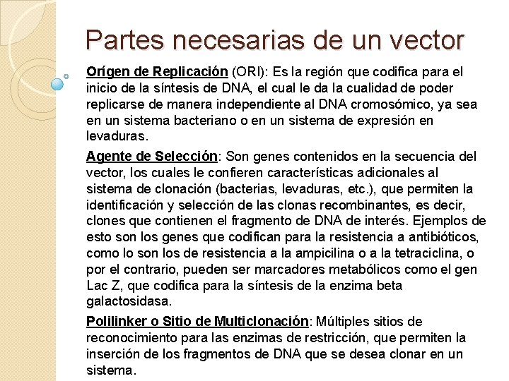 Partes necesarias de un vector Orígen de Replicación (ORI): Es la región que codifica