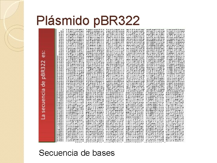 Plásmido p. BR 322 Secuencia de bases 
