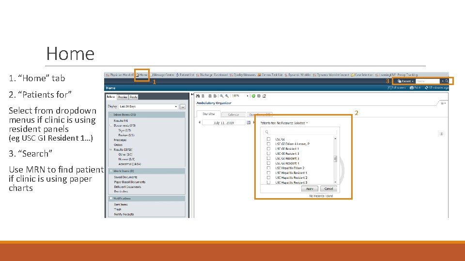 Home 1. “Home” tab 3 1 2. “Patients for” Select from dropdown menus if