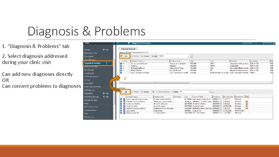 Diagnosis & Problems 1. “Diagnosis & Problems” tab 2. Select diagnosis addressed during your