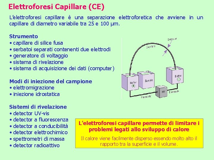 Elettroforesi Capillare (CE) L’elettroforesi capillare è una separazione elettroforetica che avviene in un capillare