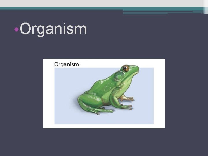  • Organism 