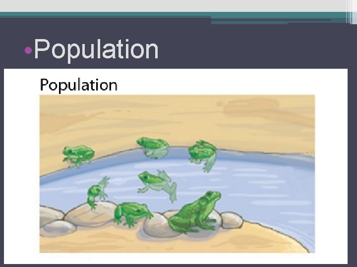  • Population 