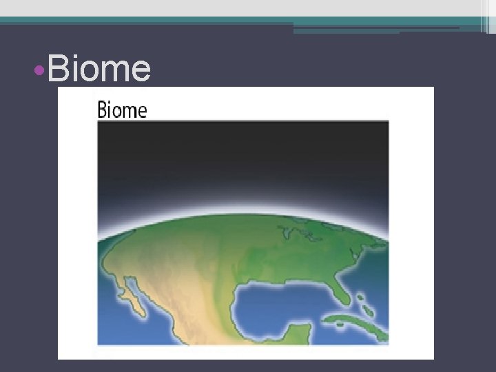  • Biome 