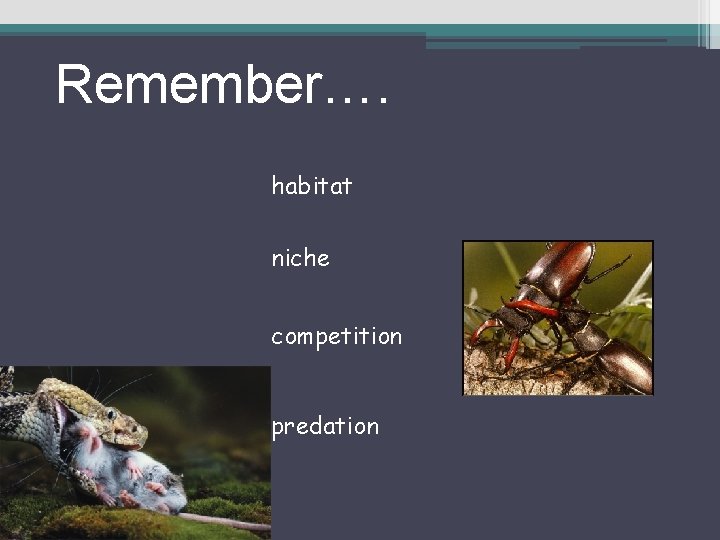 Remember…. habitat niche competition predation 