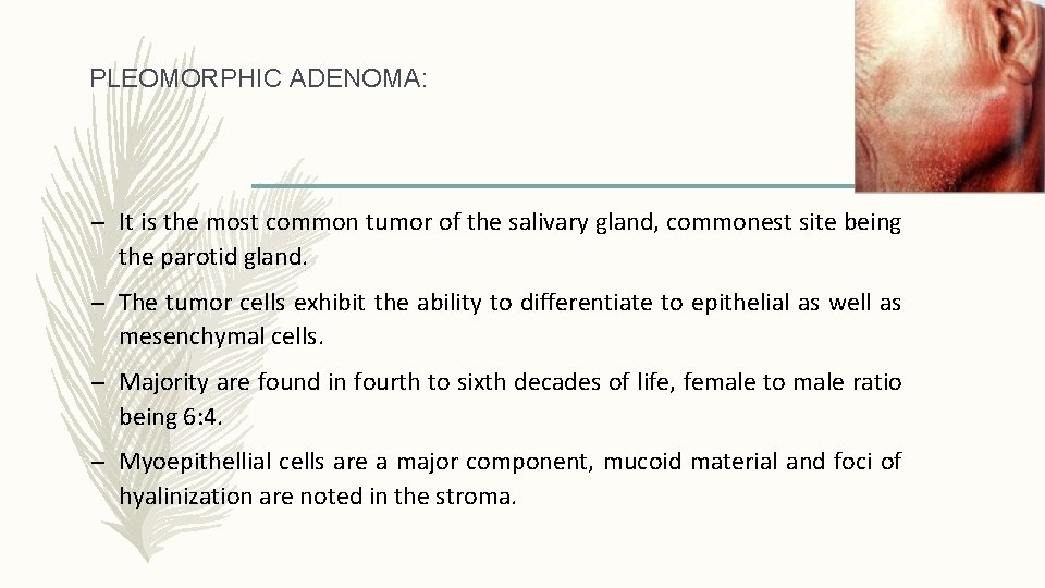 PLEOMORPHIC ADENOMA: – It is the most common tumor of the salivary gland, commonest