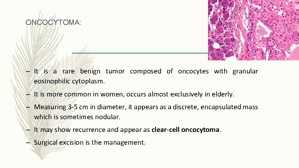 ONCOCYTOMA: – It is a rare benign tumor composed of oncocytes with granular eosinophilic