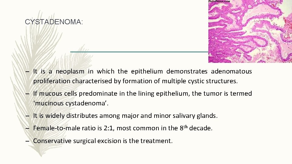 CYSTADENOMA: – It is a neoplasm in which the epithelium demonstrates adenomatous proliferation characterised