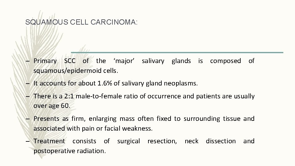 SQUAMOUS CELL CARCINOMA: – Primary SCC of the ‘major’ salivary glands is composed of