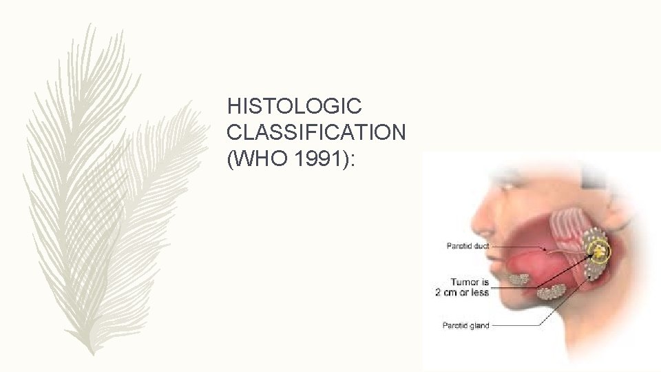 HISTOLOGIC CLASSIFICATION (WHO 1991): 