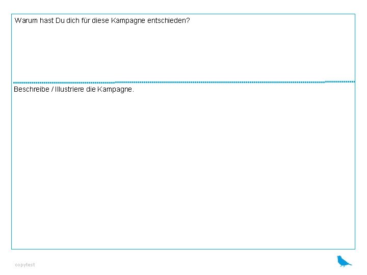 Warum hast Du dich für diese Kampagne entschieden? Beschreibe / Illustriere die Kampagne. copytest