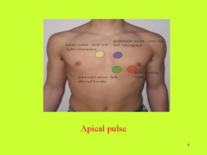 Apical pulse 6  Apical pulse 6