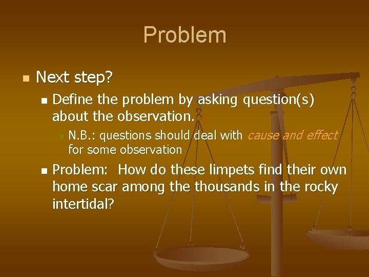 Problem n Next step? n Define the problem by asking question(s) about the observation.