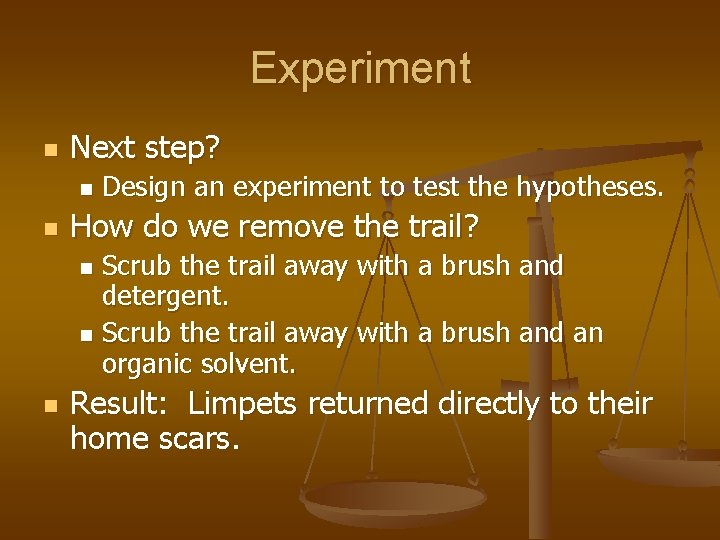 Experiment n Next step? n n Design an experiment to test the hypotheses. How
