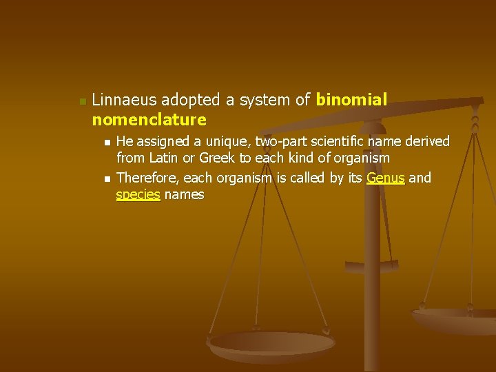 n Linnaeus adopted a system of binomial nomenclature n n He assigned a unique,