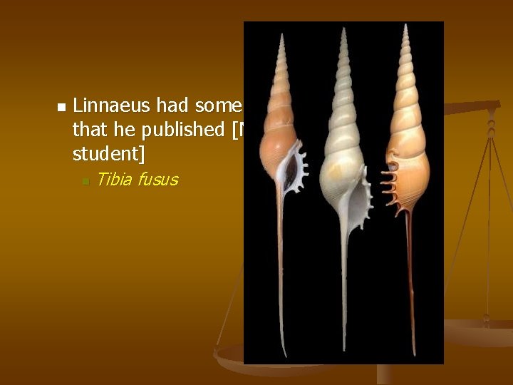 n Linnaeus had some fun with the binomials that he published [N. B. ,