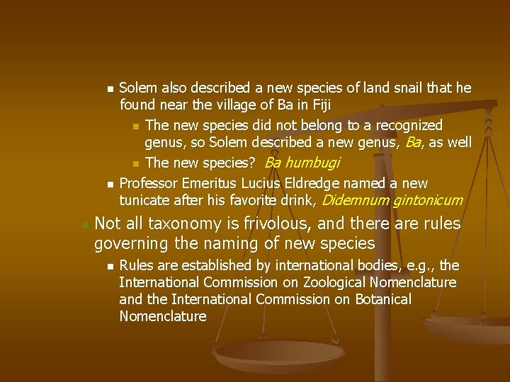 n n n Solem also described a new species of land snail that he