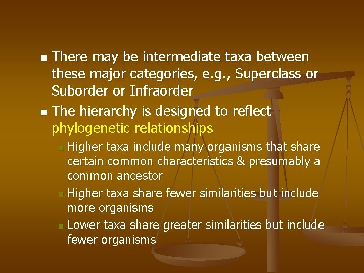 There may be intermediate taxa between these major categories, e. g. , Superclass or