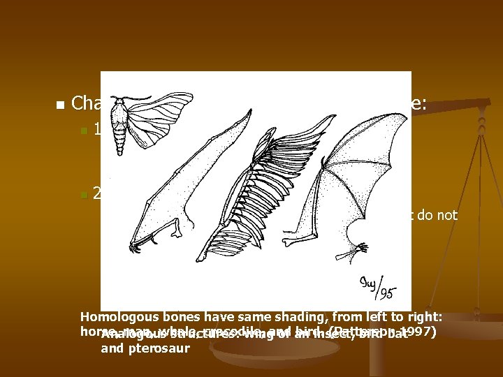 n Character states may be shared because: n 1) organisms are related n n