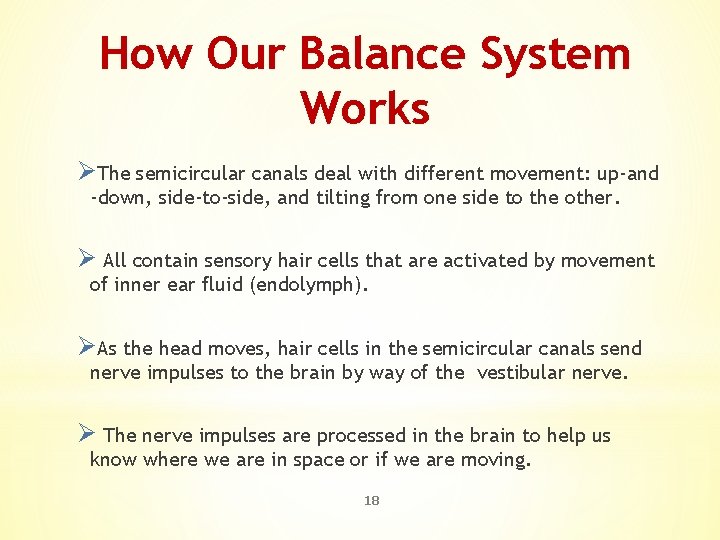 How Our Balance System Works ØThe semicircular canals deal with different movement: up-and -down,