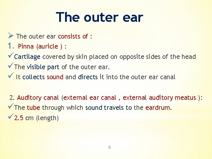 The outer ear Ø The outer ear consists of : 1. Pinna (auricle )