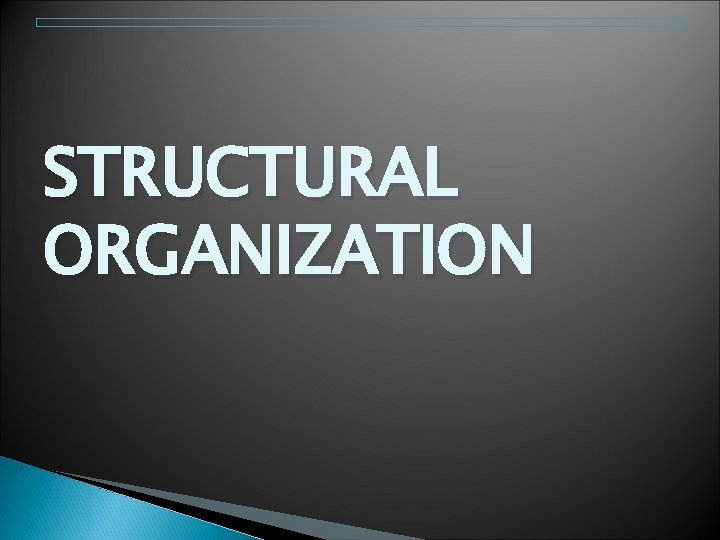 STRUCTURAL ORGANIZATION 