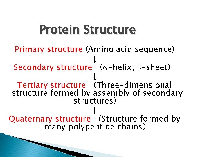 Protein Structure Primary structure (Amino acid sequence) ↓ Secondary structure （α-helix, β-sheet） ↓ Tertiary