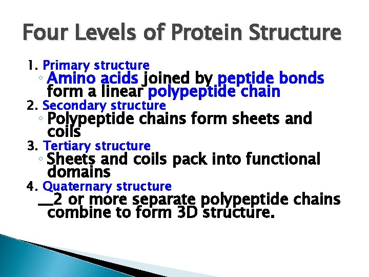 Four Levels of Protein Structure 1. Primary structure ◦ Amino acids joined by peptide
