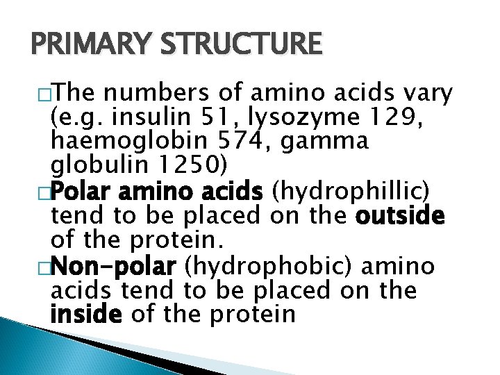 PRIMARY STRUCTURE �The numbers of amino acids vary (e. g. insulin 51, lysozyme 129,