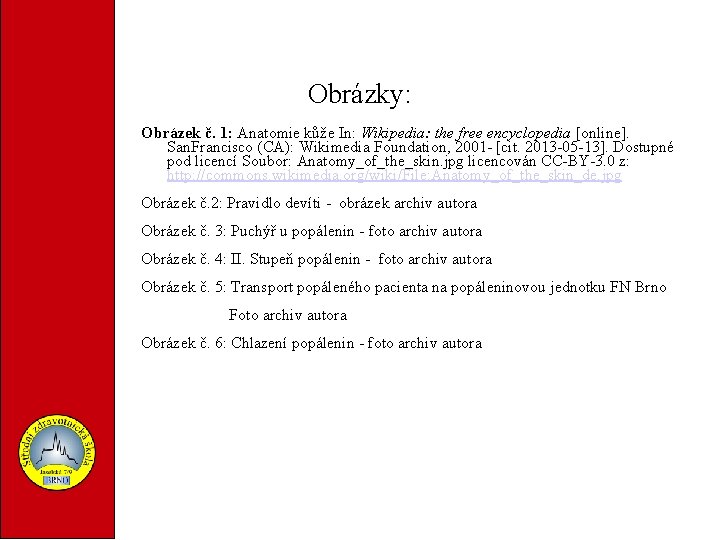 Obrázky: Obrázek č. 1: Anatomie kůže In: Wikipedia: the free encyclopedia [online]. San. Francisco