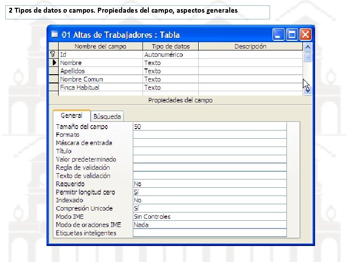 2 Tipos de datos o campos. Propiedades del campo, aspectos generales 