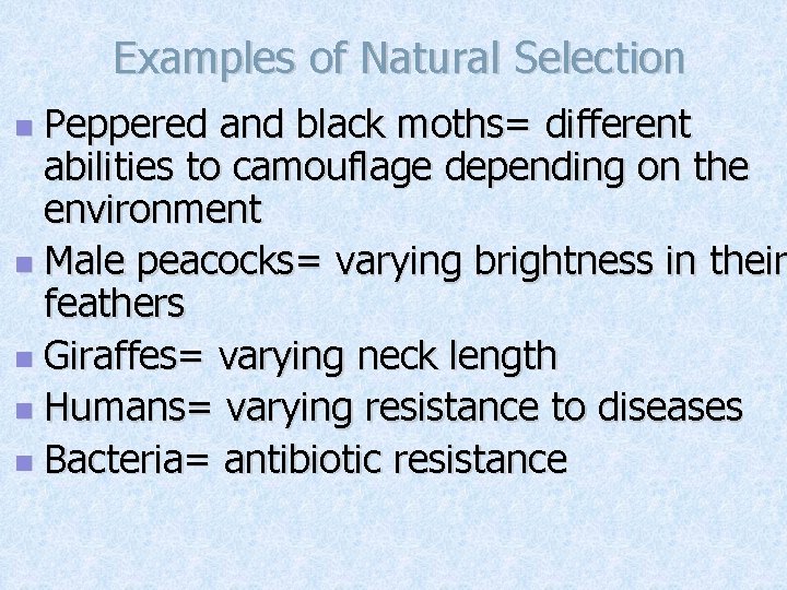 Examples of Natural Selection Peppered and black moths= different abilities to camouflage depending on