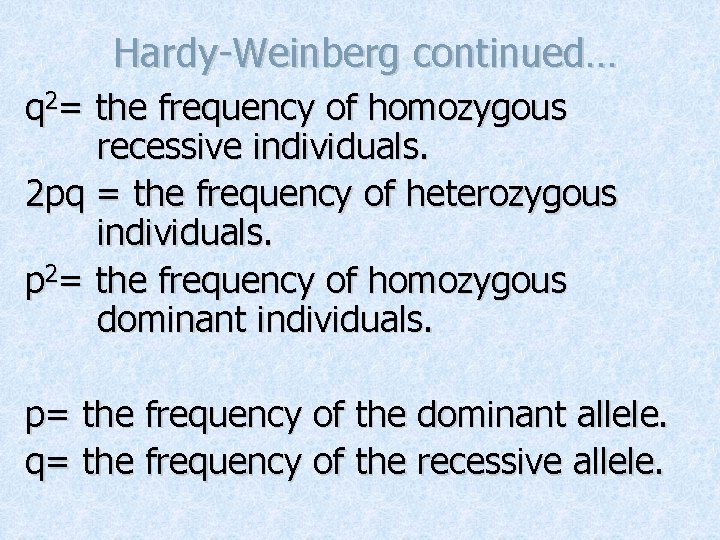 Hardy-Weinberg continued… q 2= the frequency of homozygous recessive individuals. 2 pq = the
