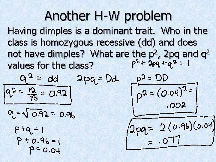 Another H-W problem Having dimples is a dominant trait. Who in the class is