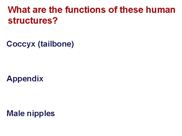 What are the functions of these human structures? Coccyx (tailbone) Appendix Male nipples 