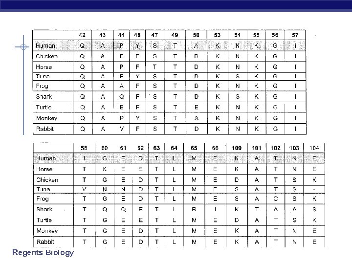 Regents Biology 