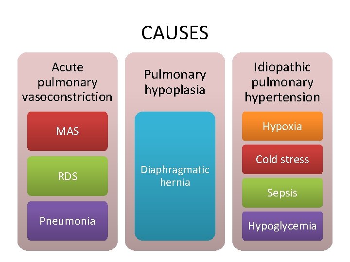 CAUSES Acute pulmonary vasoconstriction Pulmonary hypoplasia Hypoxia MAS RDS Pneumonia Idiopathic pulmonary hypertension Diaphragmatic