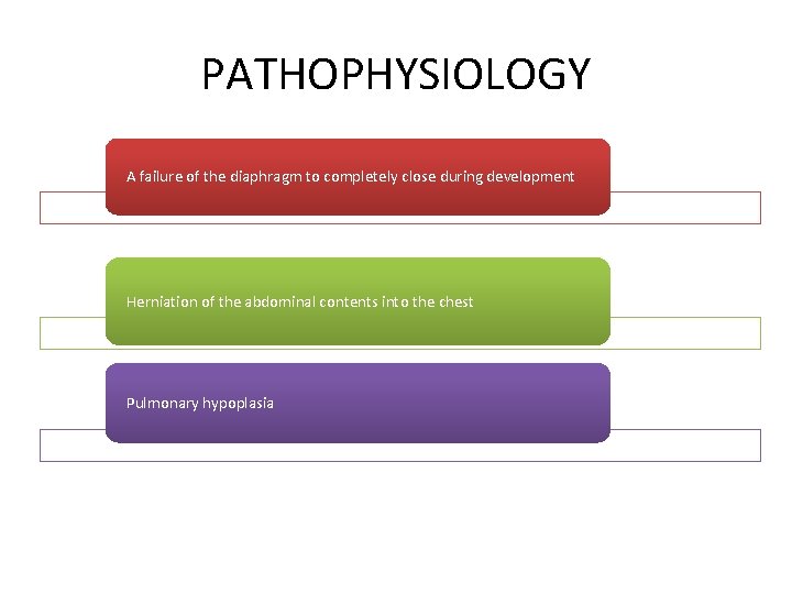 PATHOPHYSIOLOGY A failure of the diaphragm to completely close during development Herniation of the