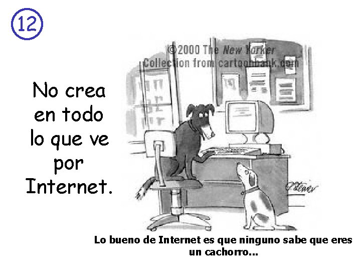 12 No crea en todo lo que ve por Internet. Lo bueno de Internet