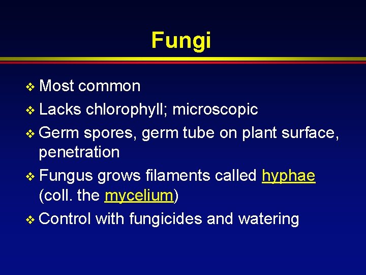 Fungi v Most common v Lacks chlorophyll; microscopic v Germ spores, germ tube on