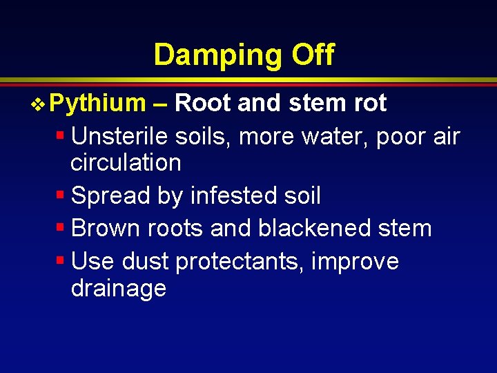 Damping Off v Pythium – Root and stem rot § Unsterile soils, more water,