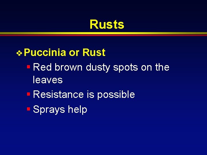 Rusts v Puccinia or Rust § Red brown dusty spots on the leaves §